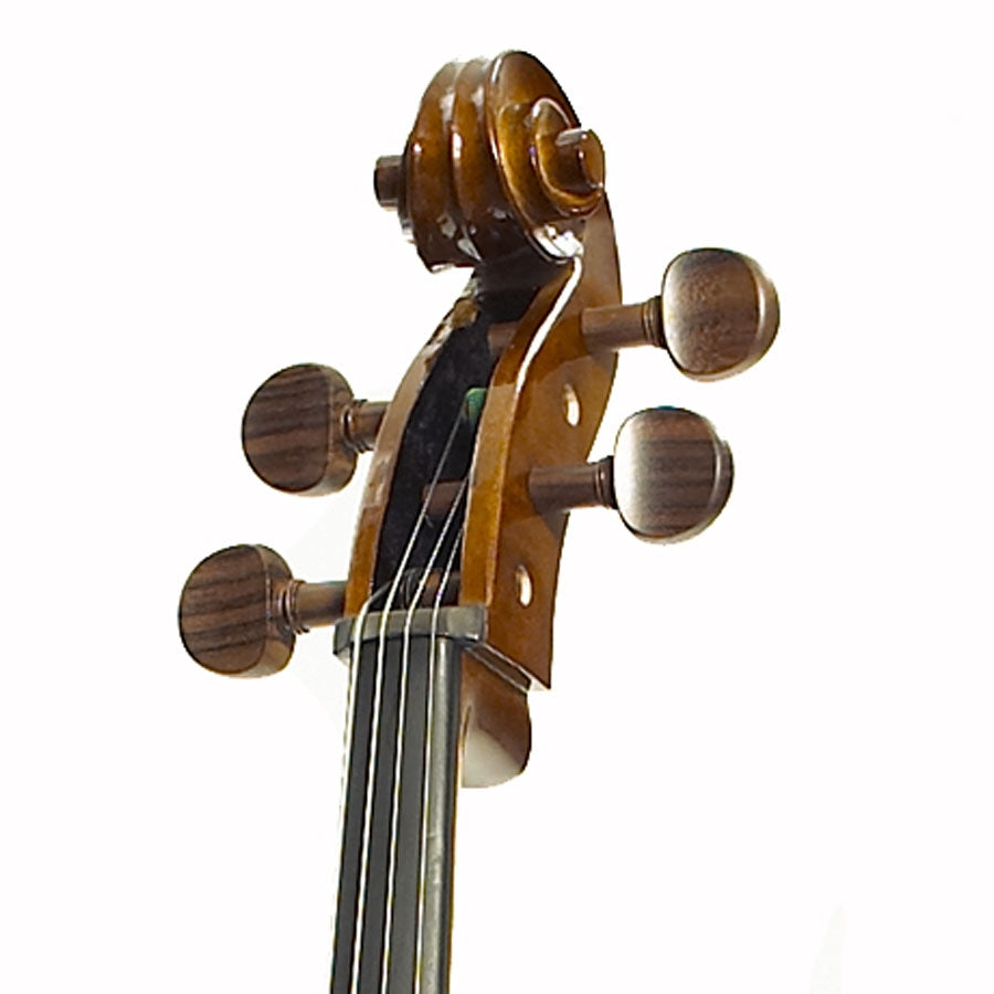 Stentor Student I cello outfit 4/4 Size 1102A2
