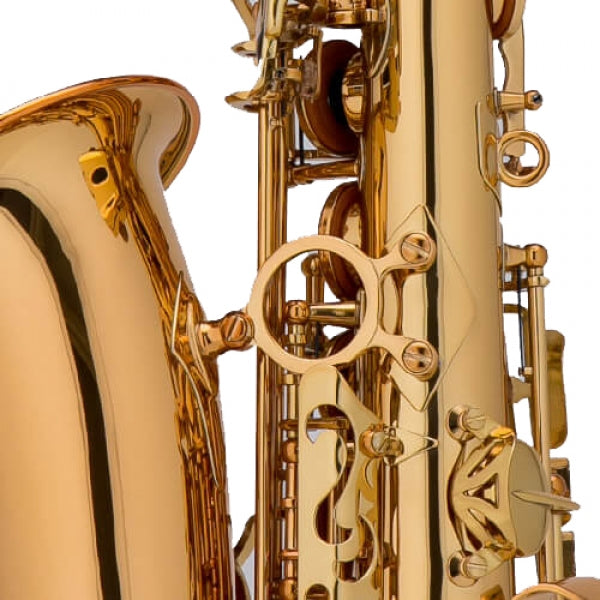 Chateau CAS-22GL Alto Saxophone (Golden)