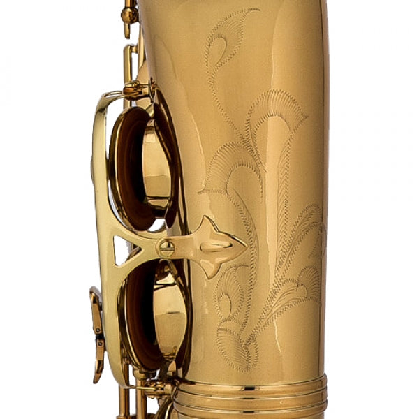 Chateau CAS-22GL Alto Saxophone (Golden)