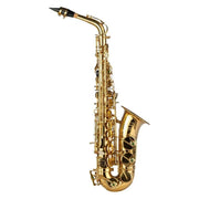 Grassi Alto Saxophone GRSAL700 WC