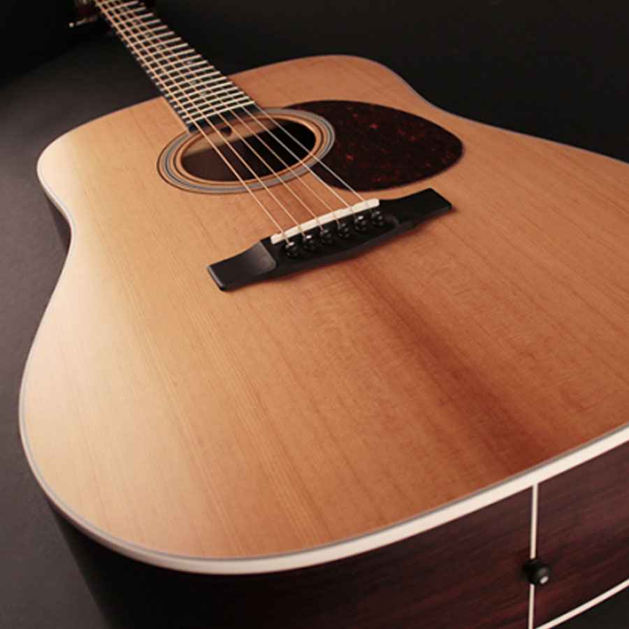 Cort Earth200F ATV Acoustic Guitar