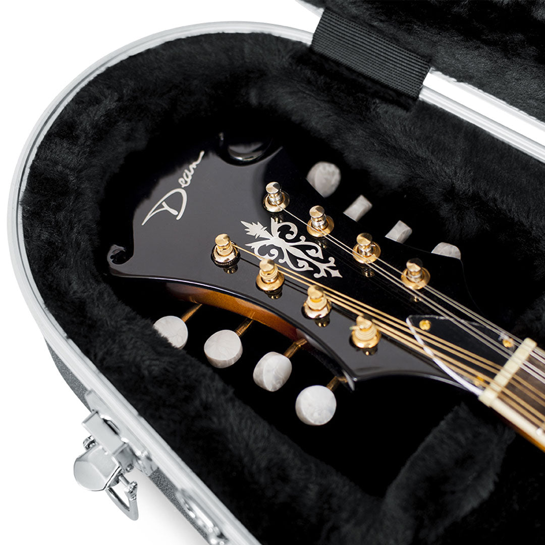 Gator GC-MANDOLIN Mandolin Case