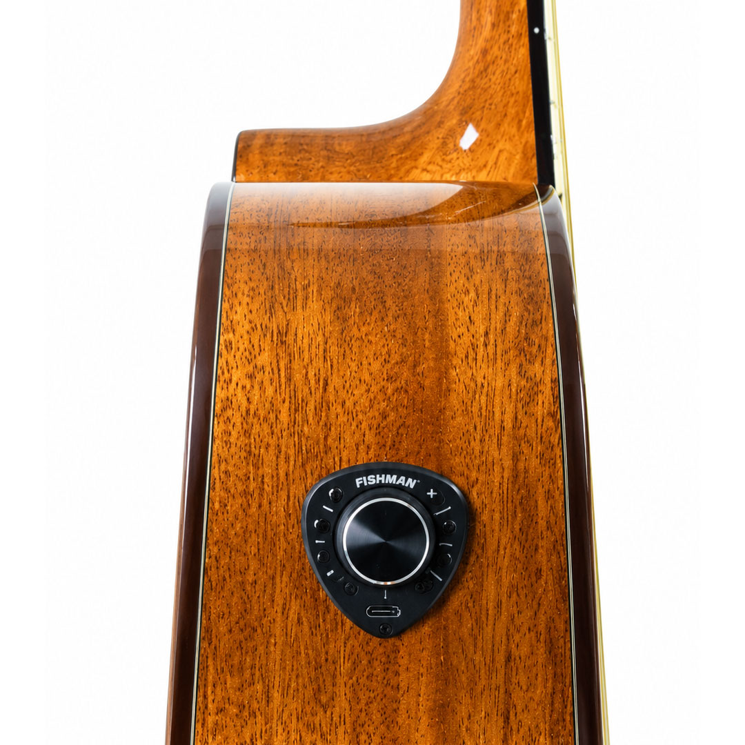 Hertz HZA4100 EQ Trans Acoustic Guitar - Mahogany