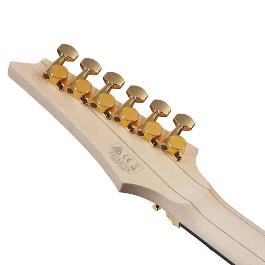 Ibanez RGA622XH Electric Guitar