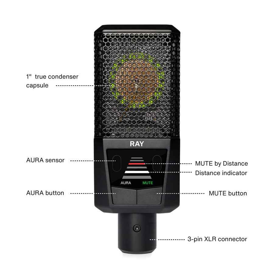 Lewitt RAY Large-Diaphragm Condenser Microphone