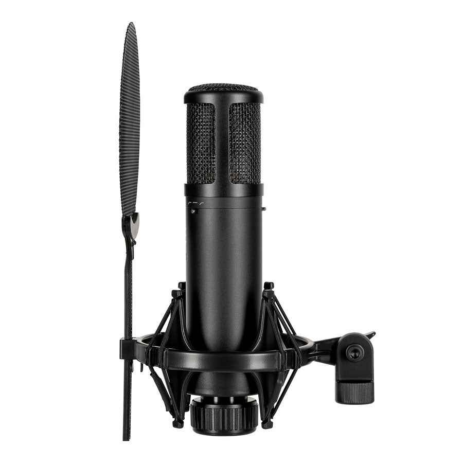 SE Electronics sE2300 Multi-Pattern Studio Condenser Microphone