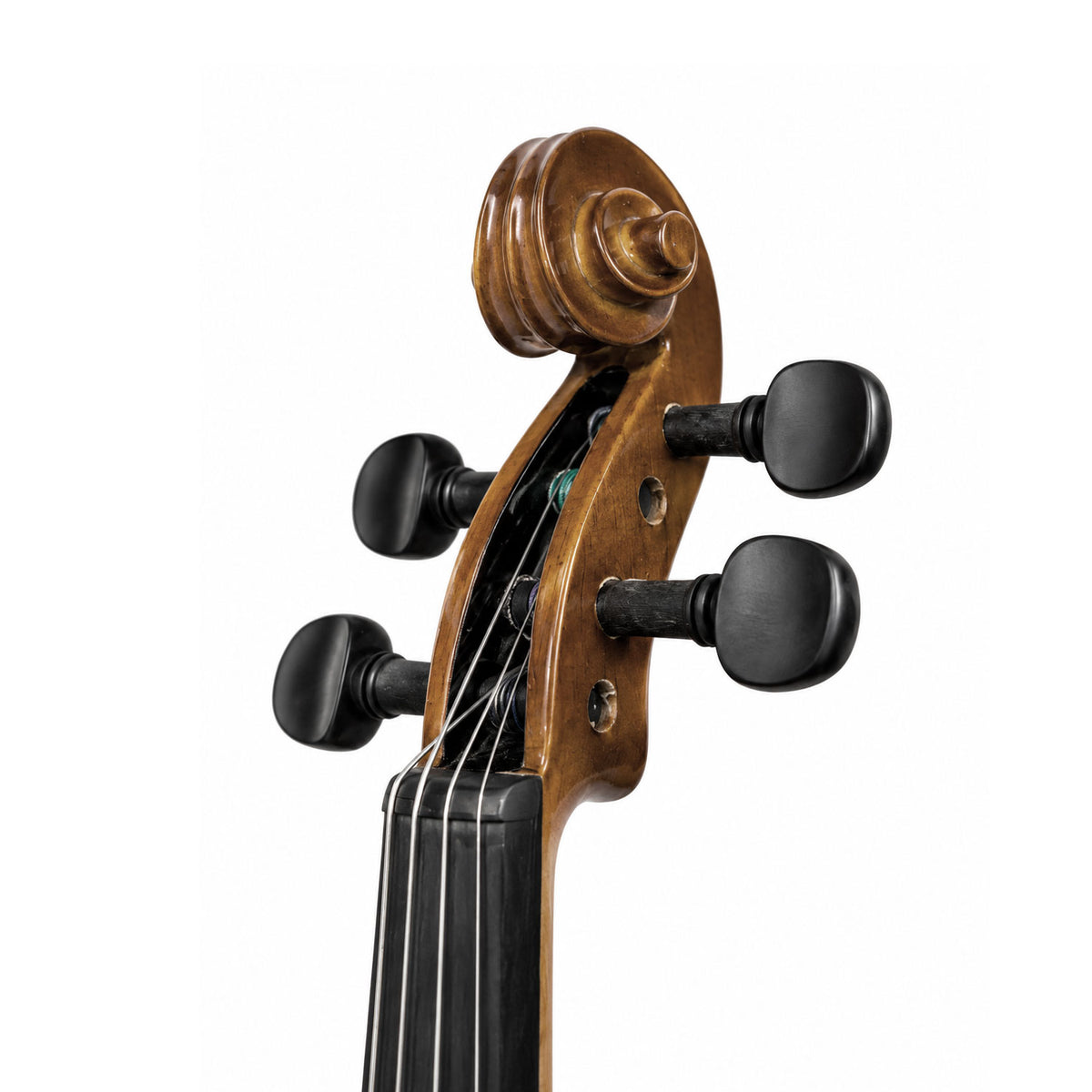 Stentor 1016-F Thelami Laminated 1-4 Size Violin