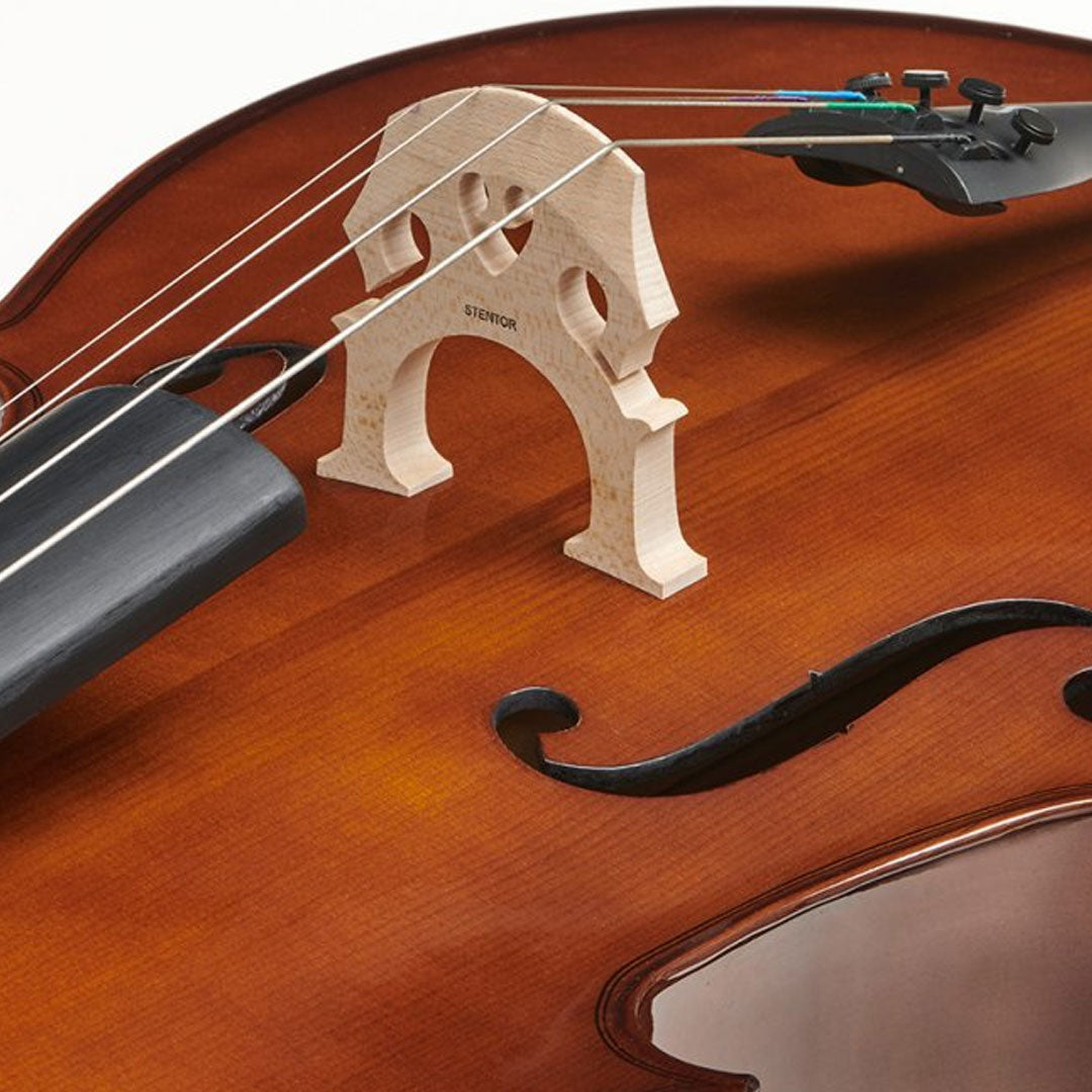 Stentor Student I Cello outfit 3/4 Size 1102C2