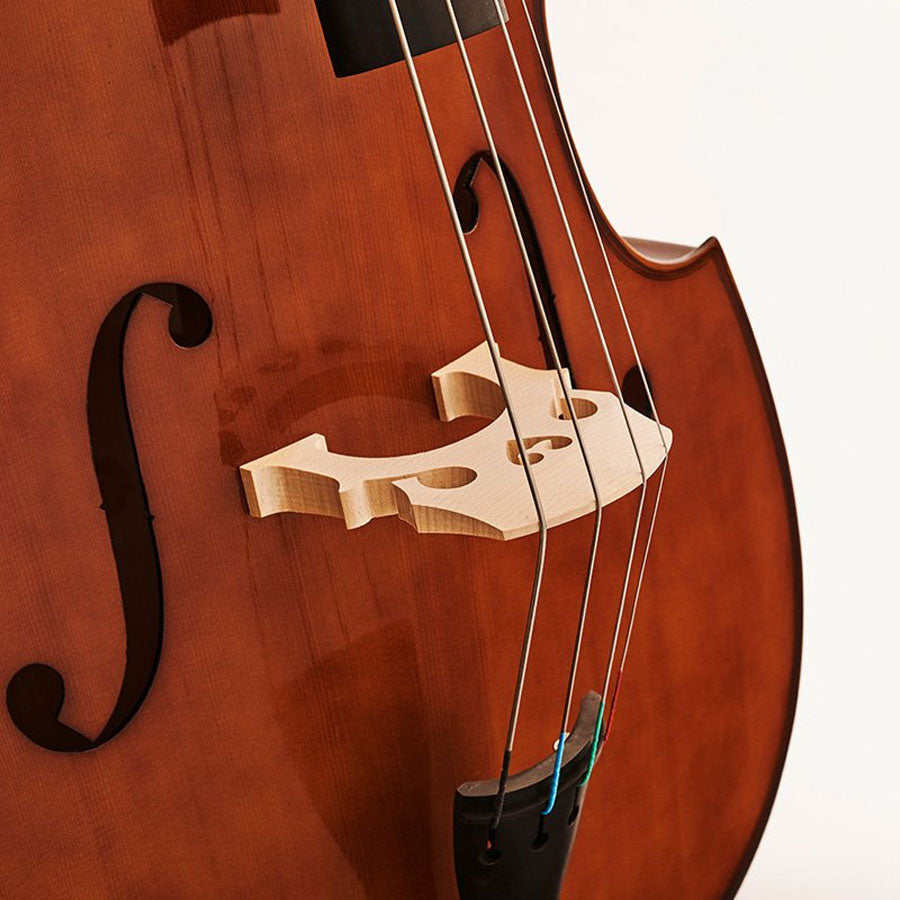 Stentor 1951A Student Double Bass 4/4 Size